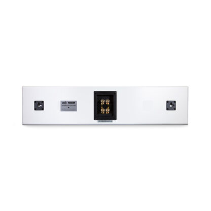 CS PWM1 Altavoz Central De Pared De 2 Vías PSB - Image 8