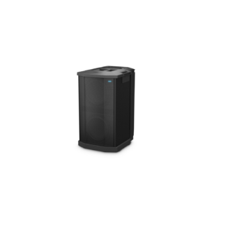 F1 SUBWOOFER 2 /10" 1000W F1 SYSTEMS BOSE