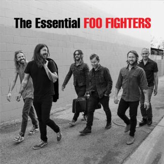 VINILO FOO FIGHTERS THE ESSENTIAL