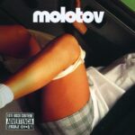 VINILO MOLOTOV DONDE JUGARAN LAS NIÑAS ED 20 AÑOS