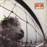 VINILO PEARL JAM VS