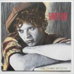 VINILO SIMPLY RED PICTURE BOOK